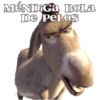 MENDiGa BoLa DE PELOS @YoSoyTeba