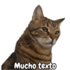 Mucho texto