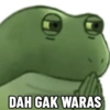 Kodok ijo meme 7