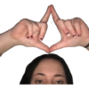 Mollami sempre saffy sono 13