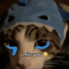 Malu malu kucing 6