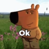 Ok