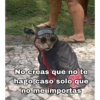 MASCOTAS @joshuacaprii 12