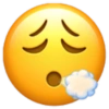 Emoji iphone  12