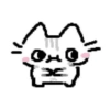 Cute kitty 8