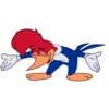 Picapau 13
