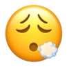 Emojis Iphone2 7