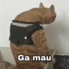 Ga mau