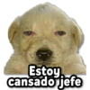 COMBO de Stickers #21 🎖️ 13