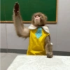 Monkey 5