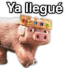 Ya llegué @Harley Stickers
