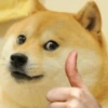 Meme anjing 10