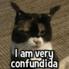 I am very confundida