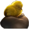 Que fofurinha 25