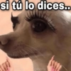 ✨ Memes mix 7 🔥 16