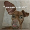 Memes 73 14