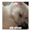 Biyu 19