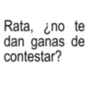 Me vas a respender? 😠💬 15