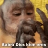 Sabrá Dios kien eres