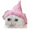 Gatos sad 2 17