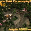 🐼🗑🦝 Raccoons l 🦝 🗑 🐼  19