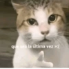 que sea la última vez >:(