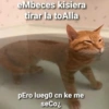 Gatos Raros😼🎩 13
