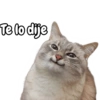 Te lo dije