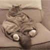 MÓ FRIO 🧣🧤🧦 8