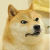Doggo 8