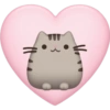 Pusheen Pink 🩷🩷 11
