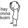hay mina koim