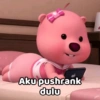 Aku pushrank dulu