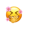 Emoji love | amor 🫶  12