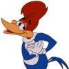 Picapau 6