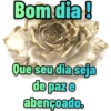 Pacote sete 7 4
