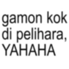 gamon kok di pelihara, YAHAHA