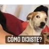 Para contestar 15