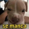 Aqueles memes variados 😂 10