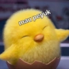 Gudetama anak ayam 🐣  15