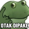 Kodok ijo meme 9