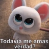 Animaleitos gracioso😸 8
