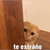 te extraño