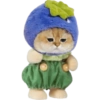 Kucing lucu cat cute 6