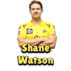 Chennai Super Kings (IPL) 21