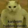 kardesm haddını asıosn