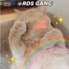 Posts apaixonados @rds_gang 13