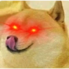 Meme anjing 13