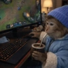 Monitos para el día 🐵 10