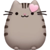 Pusheen Pink 🩷🩷 5